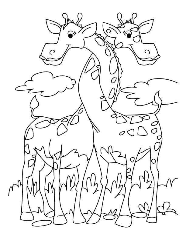 Giraffe Friends - Kolorowanka do Druku dla Dzieci kolorowanka do druku